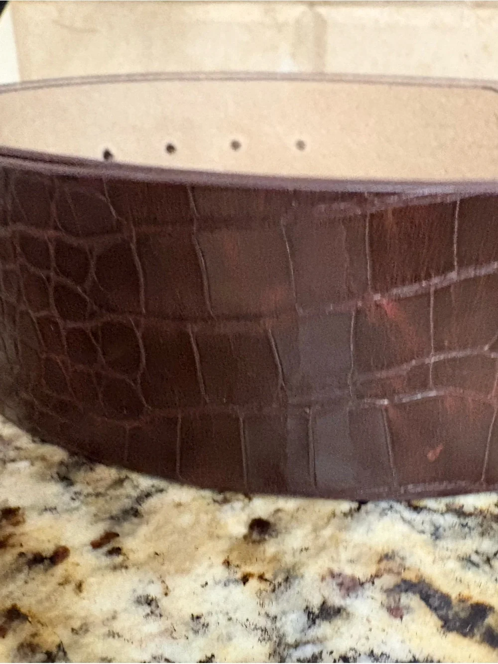 Chico's Dark Brown Croc-Embossed Belt with Amber Oval Buckle